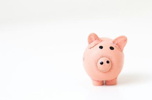 piggy bank France minimum salary