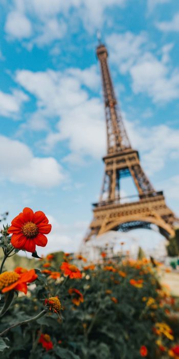 Paris-Eiffel-tower-red-flower